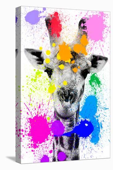 Safari Colors Pop Collection - Giraffe-Philippe Hugonnard-Premier Image Canvas