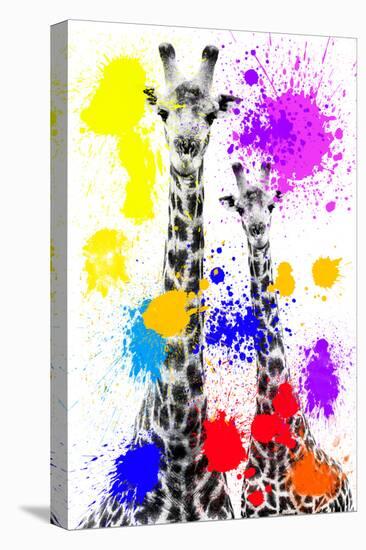 Safari Colors Pop Collection - Giraffes-Philippe Hugonnard-Premier Image Canvas