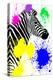 Safari Colors Pop Collection - Zebra Profile-Philippe Hugonnard-Premier Image Canvas