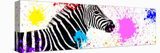 Safari Colors Pop Collection - Zebra VII-Philippe Hugonnard-Premier Image Canvas