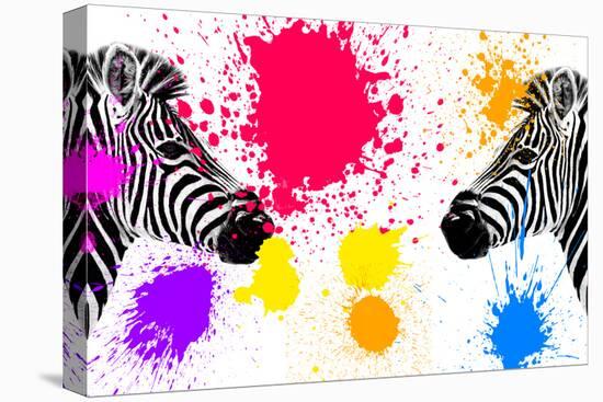 Safari Colors Pop Collection - Zebras Face to Face IV-Philippe Hugonnard-Premier Image Canvas