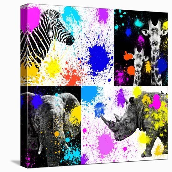 Safari Colors Pop Collection-Philippe Hugonnard-Premier Image Canvas