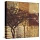 Safari III-Tandi Venter-Stretched Canvas