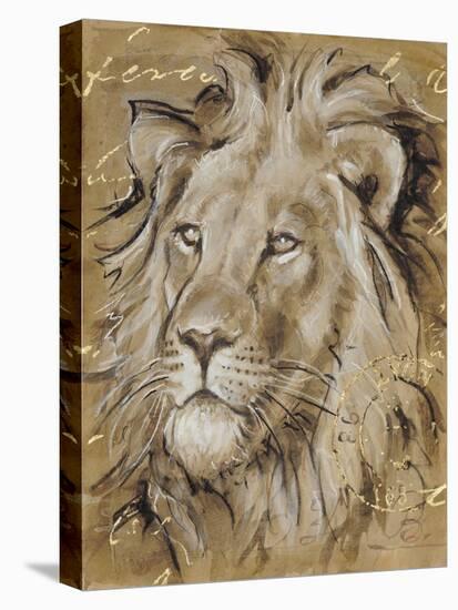Safari Lion-Chad Barrett-Stretched Canvas