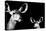 Safari Profile Collection - Antelope and Baby Black Edition II-Philippe Hugonnard-Premier Image Canvas