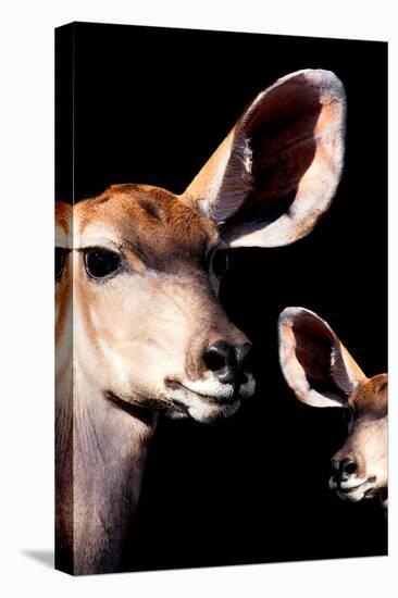 Safari Profile Collection - Antelope and Baby Black Edition V-Philippe Hugonnard-Premier Image Canvas