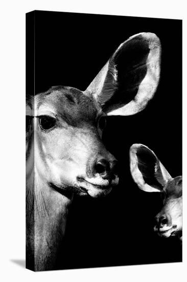 Safari Profile Collection - Antelope and Baby Black Edition VI-Philippe Hugonnard-Premier Image Canvas