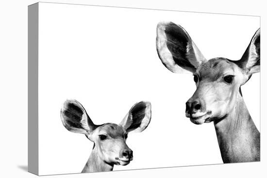 Safari Profile Collection - Antelope and Baby White Edition II-Philippe Hugonnard-Premier Image Canvas