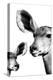 Safari Profile Collection - Antelope and Baby White Edition VI-Philippe Hugonnard-Premier Image Canvas