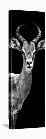 Safari Profile Collection - Antelope Black Edition III-Philippe Hugonnard-Premier Image Canvas