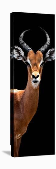 Safari Profile Collection - Antelope Black Edition IV-Philippe Hugonnard-Premier Image Canvas