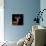 Safari Profile Collection - Antelope Black Edition VI-Philippe Hugonnard-Premier Image Canvas displayed on a wall