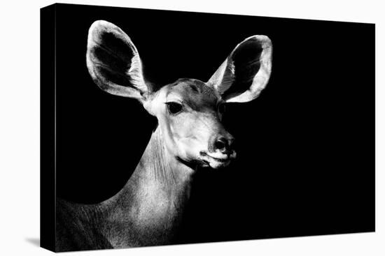 Safari Profile Collection - Antelope Impala Portrait Black Edition II-Philippe Hugonnard-Premier Image Canvas