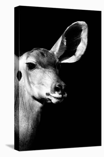 Safari Profile Collection - Antelope Impala Portrait Black Edition IV-Philippe Hugonnard-Premier Image Canvas