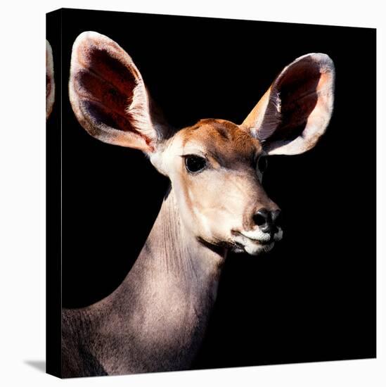 Safari Profile Collection - Antelope Impala Portrait Black Edition V-Philippe Hugonnard-Premier Image Canvas