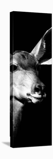 Safari Profile Collection - Antelope Impala Portrait Black Edition X-Philippe Hugonnard-Premier Image Canvas