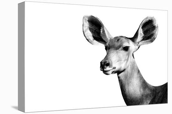 Safari Profile Collection - Antelope Impala Portrait White Edition II-Philippe Hugonnard-Premier Image Canvas