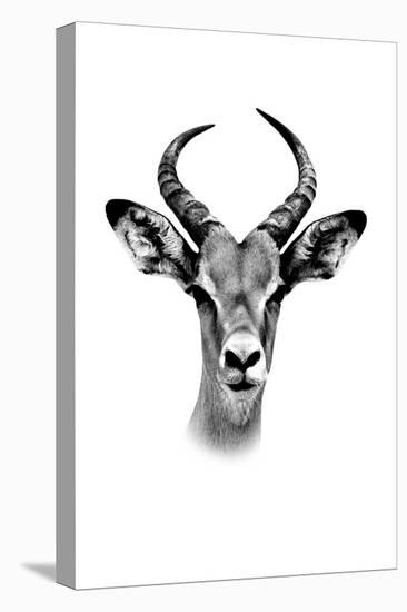 Safari Profile Collection - Antelope Portrait White Edition-Philippe Hugonnard-Premier Image Canvas