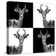 Safari Profile Collection - Antelopes II-Philippe Hugonnard-Premier Image Canvas