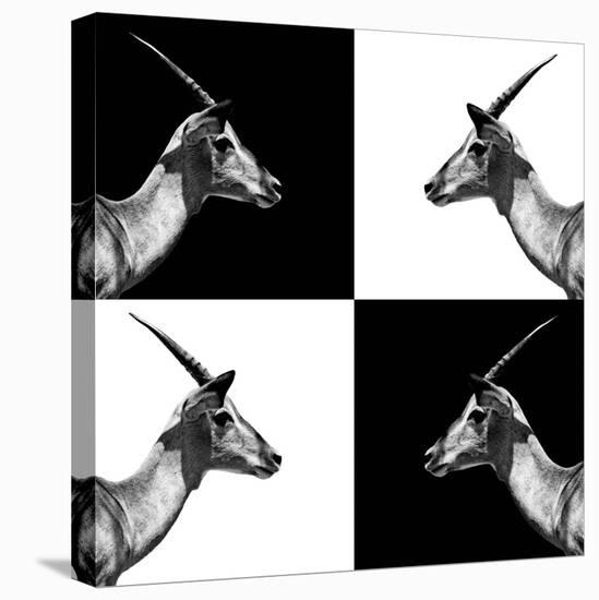 Safari Profile Collection - Antelopes Impalas II-Philippe Hugonnard-Premier Image Canvas