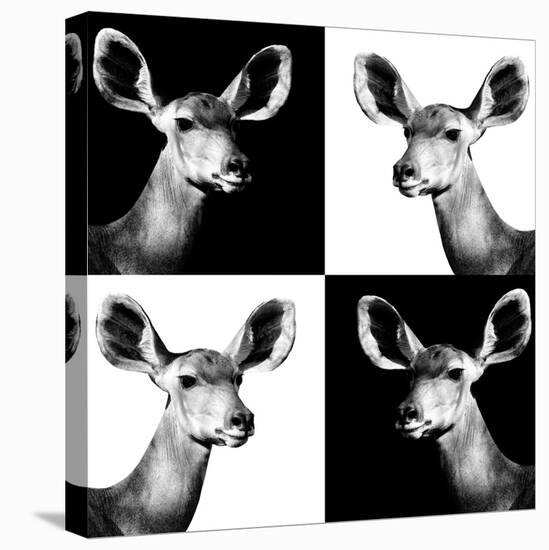 Safari Profile Collection - Antelopes Impalas Portraits II-Philippe Hugonnard-Premier Image Canvas