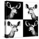 Safari Profile Collection - Antelopes Impalas Portraits II-Philippe Hugonnard-Premier Image Canvas