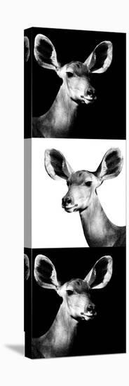 Safari Profile Collection - Antelopes Impalas Portraits III-Philippe Hugonnard-Premier Image Canvas