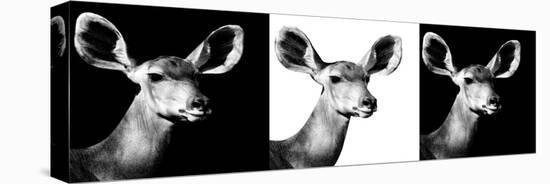 Safari Profile Collection - Antelopes Impalas Portraits IV-Philippe Hugonnard-Premier Image Canvas