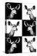 Safari Profile Collection - Antelopes Impalas Portraits-Philippe Hugonnard-Premier Image Canvas