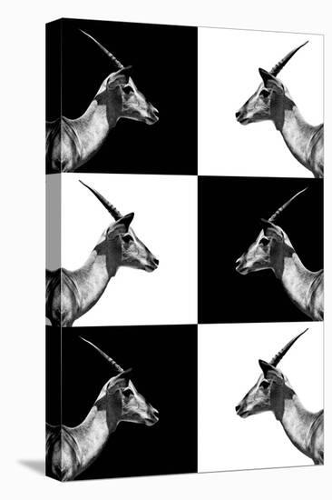 Safari Profile Collection - Antelopes Impalas-Philippe Hugonnard-Premier Image Canvas