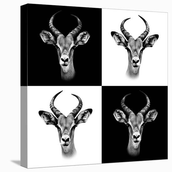 Safari Profile Collection - Antepoles Portraits II-Philippe Hugonnard-Premier Image Canvas