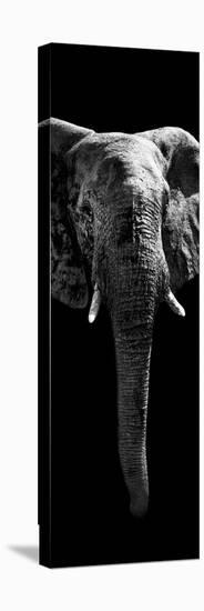 Safari Profile Collection - Elephant Black Edition II-Philippe Hugonnard-Premier Image Canvas