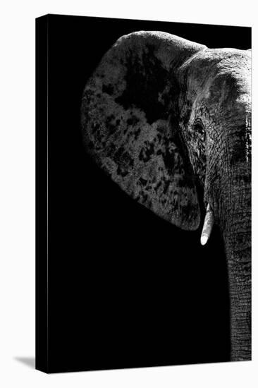 Safari Profile Collection - Elephant Black Edition III-Philippe Hugonnard-Premier Image Canvas