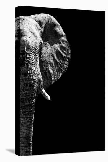 Safari Profile Collection - Elephant Black Edition IV-Philippe Hugonnard-Premier Image Canvas