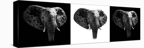 Safari Profile Collection - Elephants III-Philippe Hugonnard-Premier Image Canvas