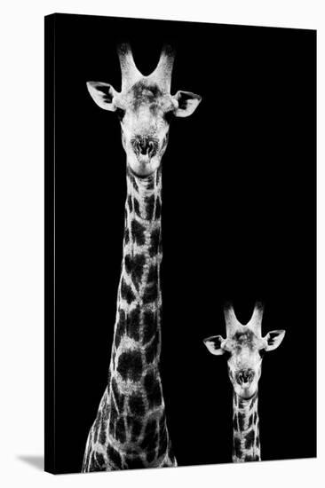 Safari Profile Collection - Giraffe and Baby Black Edition II-Philippe Hugonnard-Premier Image Canvas