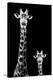 Safari Profile Collection - Giraffe and Baby Black Edition II-Philippe Hugonnard-Premier Image Canvas