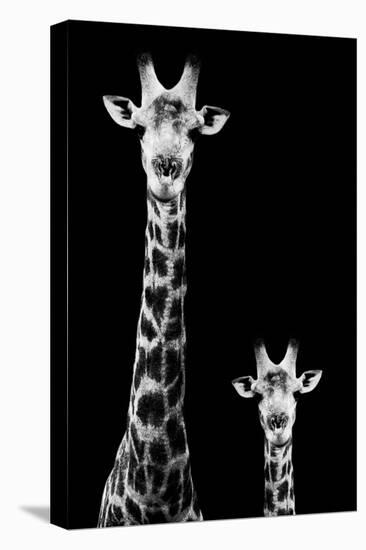 Safari Profile Collection - Giraffe and Baby Black Edition II-Philippe Hugonnard-Premier Image Canvas