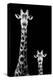 Safari Profile Collection - Giraffe and Baby Black Edition II-Philippe Hugonnard-Premier Image Canvas