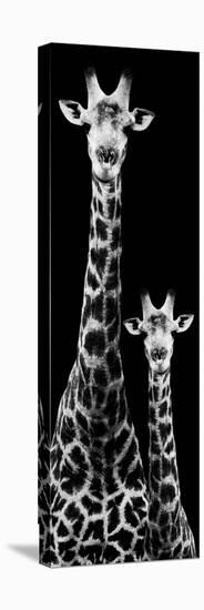 Safari Profile Collection - Giraffe and Baby Black Edition IV-Philippe Hugonnard-Premier Image Canvas