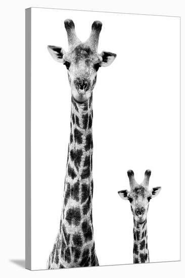 Safari Profile Collection - Giraffe and Baby White Edition II-Philippe Hugonnard-Premier Image Canvas