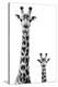 Safari Profile Collection - Giraffe and Baby White Edition II-Philippe Hugonnard-Premier Image Canvas