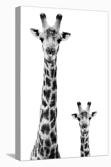 Safari Profile Collection - Giraffe and Baby White Edition II-Philippe Hugonnard-Premier Image Canvas