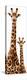 Safari Profile Collection - Giraffe and Baby White Edition III-Philippe Hugonnard-Premier Image Canvas