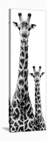 Safari Profile Collection - Giraffe and Baby White Edition IV-Philippe Hugonnard-Premier Image Canvas