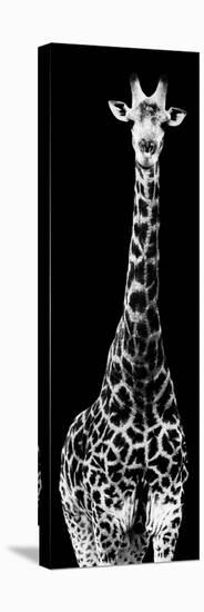 Safari Profile Collection - Giraffe Black Edition IV-Philippe Hugonnard-Premier Image Canvas