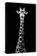 Safari Profile Collection - Giraffe Black Edition VIII-Philippe Hugonnard-Premier Image Canvas