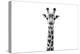 Safari Profile Collection - Giraffe Portrait White Edition II-Philippe Hugonnard-Premier Image Canvas