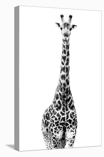 Safari Profile Collection - Giraffe White Edition II-Philippe Hugonnard-Premier Image Canvas