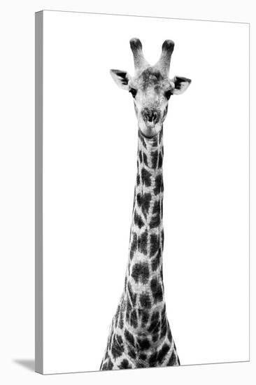 Safari Profile Collection - Giraffe White Edition VIII-Philippe Hugonnard-Premier Image Canvas